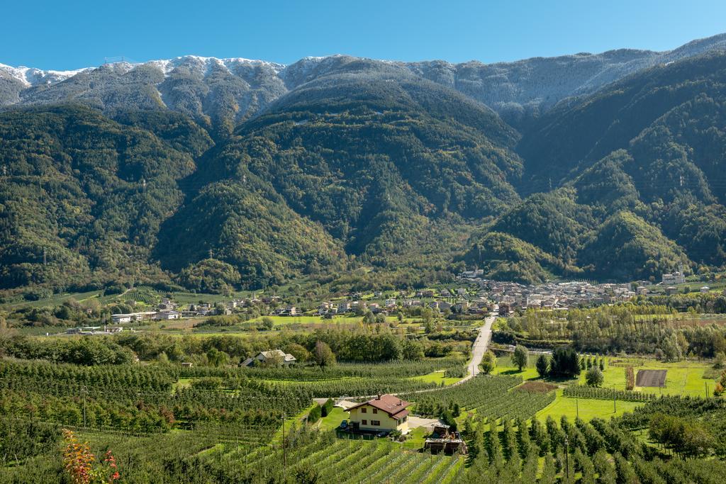 B&B Ca Tunin Tirano Chambre photo